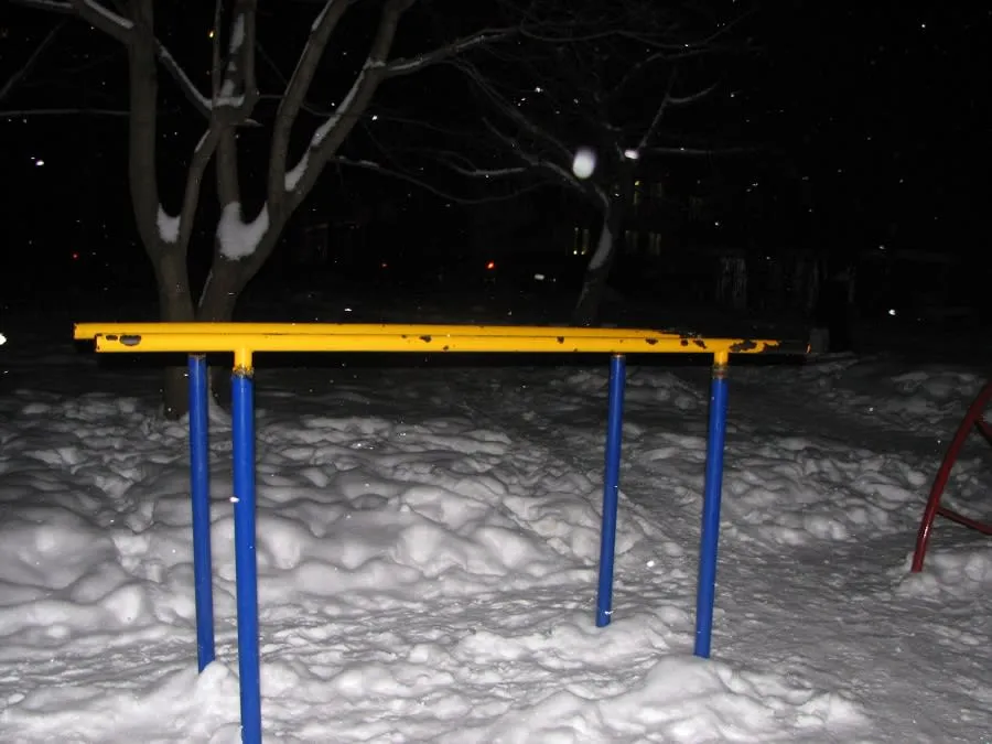 Cross Country Skier at Calisthenics Park at улица Сакко и Ванцетти, Королёв – photo 3 of 3
