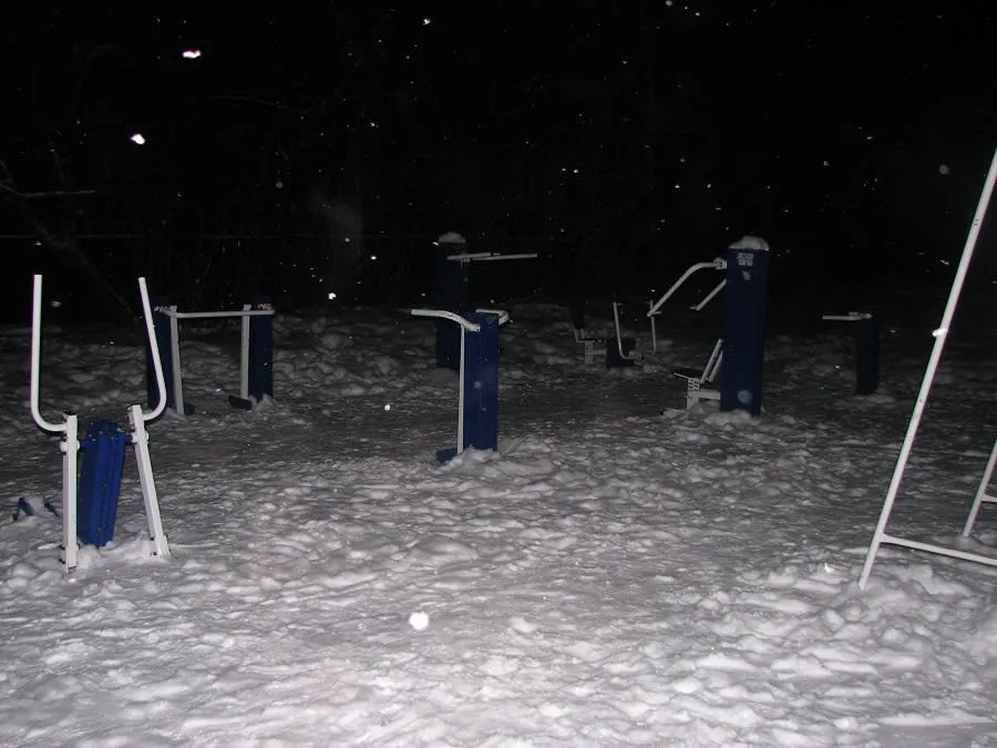 Parallel Gym Bars at Calisthenics Park at улица Сакко и Ванцетти, Королёв – photo 2 of 3