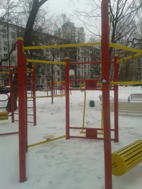 Турнік на майданчику Calisthenics Park at Ангарская улица, Москва – фото 7 з 7