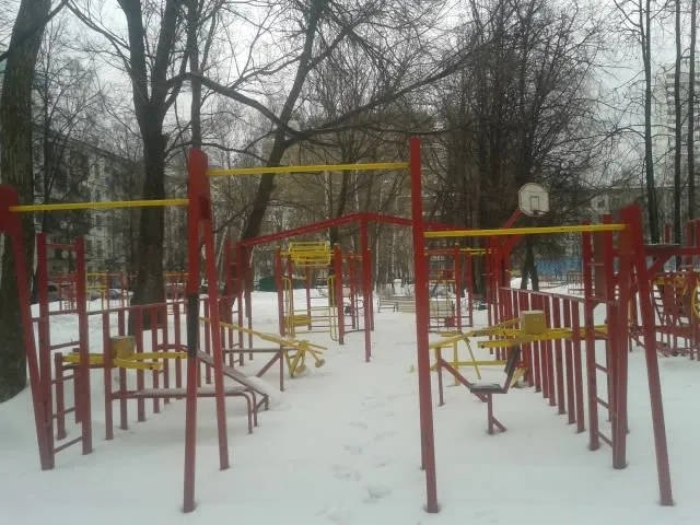 Гіперекстензія на майданчику Calisthenics Park at Ангарская улица, Москва – фото 6 з 7
