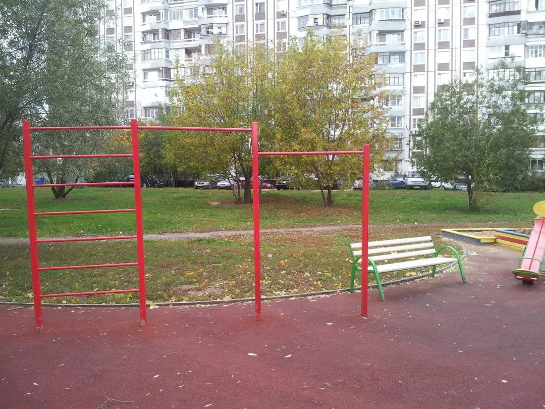 Monkey Bars at Calisthenics Park at улица Бабакина, Химки – photo 3 of 3