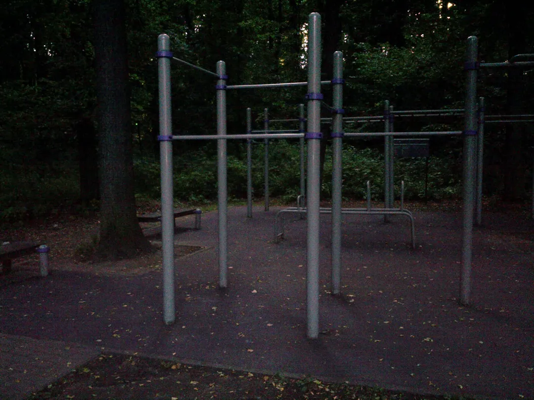 Barres de singe à Calisthenics Park at Главная аллея, Москва #wp2804 – photo 3 sur 3