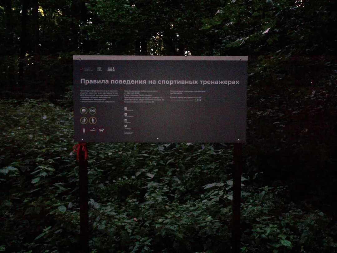 Barres parallèles à Calisthenics Park at Главная аллея, Москва #wp2804 – photo 2 sur 3
