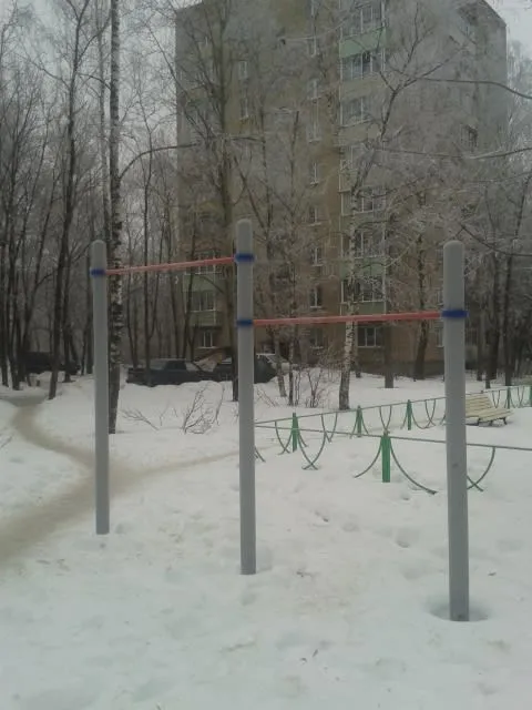 Barra de Dominadas en Outdoor Gym in 1-й микрорайон, Егорьевск – foto 1 de 1