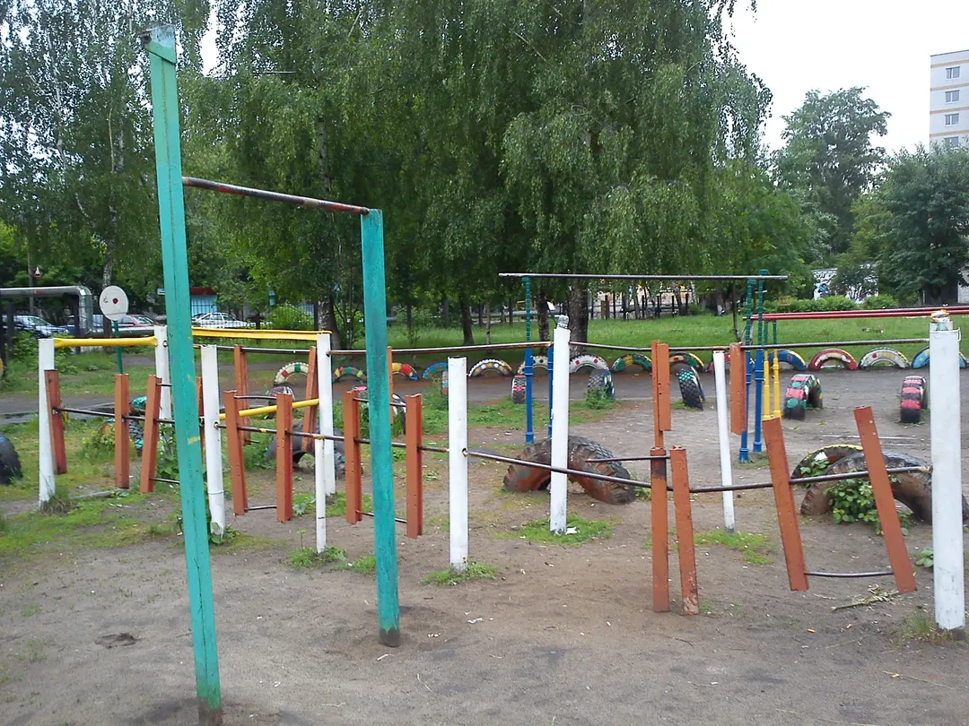 Monkey Bars at Calisthenics Park at улица Мориса Тореза, Нижний Новгород – photo 3 of 4