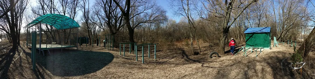 Barre de traction à Calisthenics Park at улица Свободы, Москва #wp2817 – photo 7 sur 8