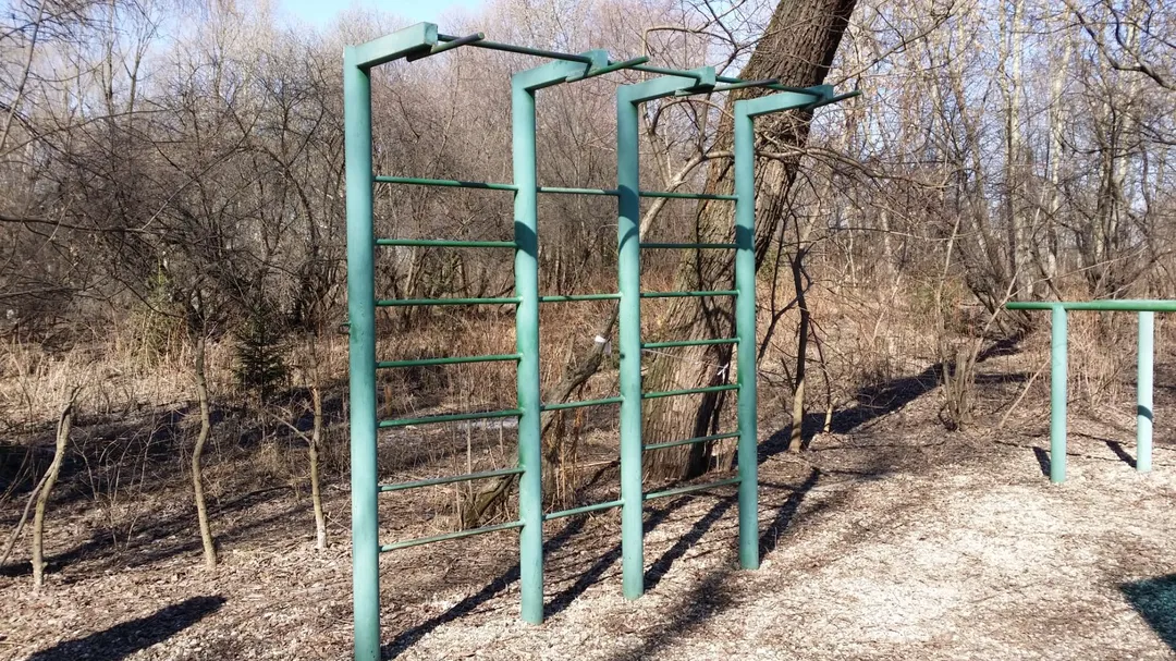 Barres parallèles à Calisthenics Park at улица Свободы, Москва #wp2817 – photo 5 sur 8