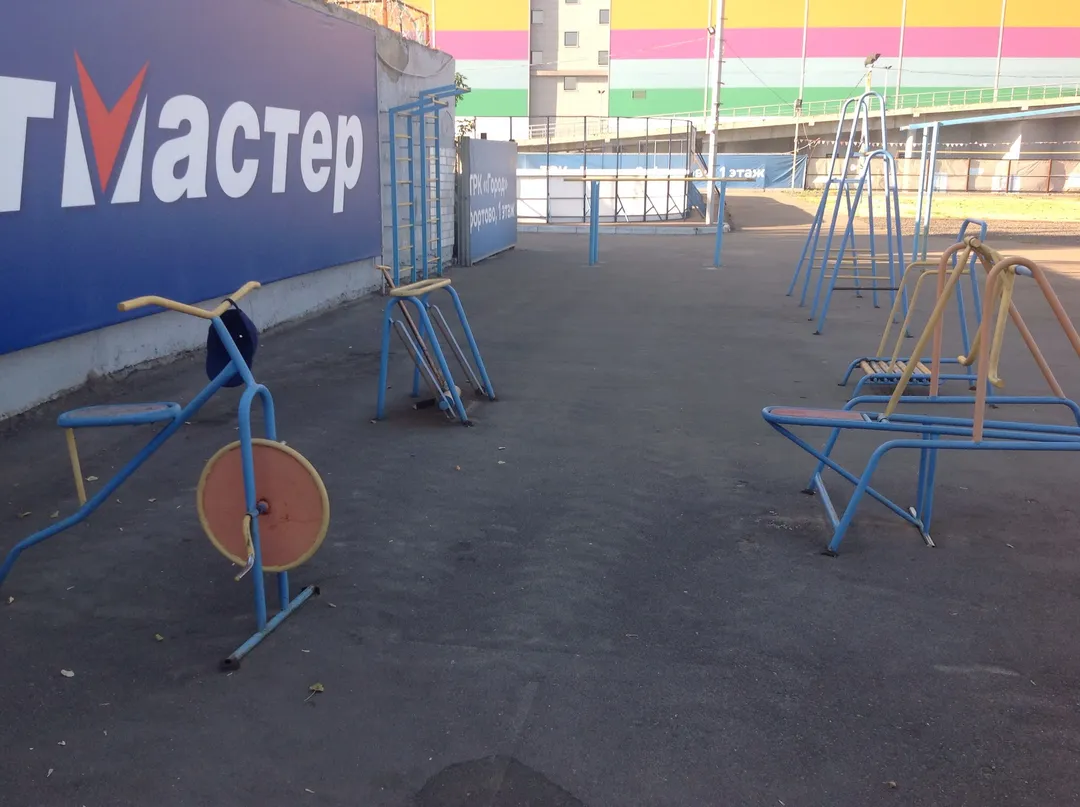 Barres de singe à Calisthenics Park at Душинская улица, Москва – photo 3 sur 6