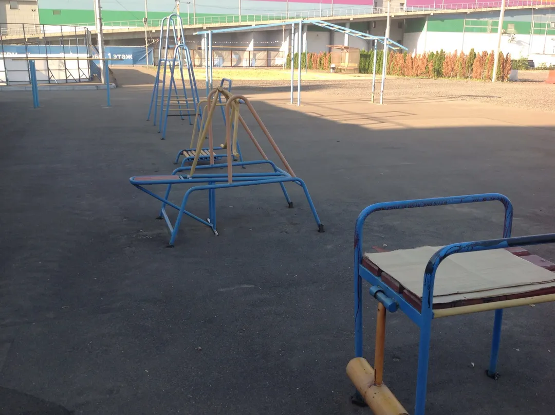 Barres parallèles à Calisthenics Park at Душинская улица, Москва – photo 2 sur 6