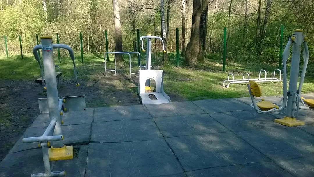 Sbarra per trazioni presso Calisthenics Park at Измайловский проспект, Москва #wp2831 – foto 1 di 10