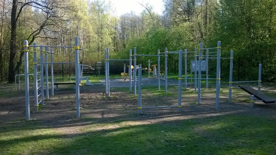 Monkey bar presso Calisthenics Park at Измайловский проспект, Москва #wp2831 – foto 10 di 10