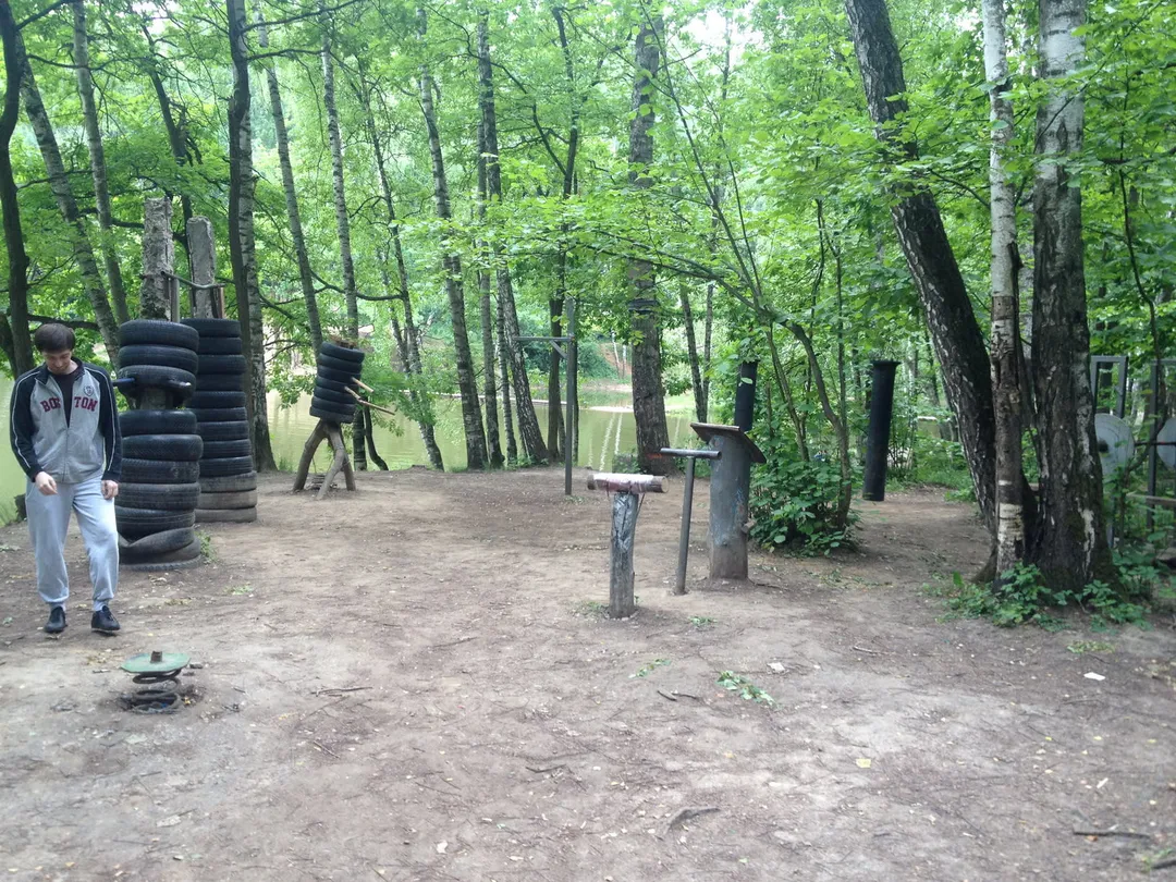 Pull Up Bar at Calisthenics Park at улица Академика Виноградова, Москва #wp2833 – photo 1 of 16