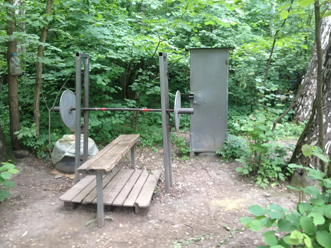 Wall Bars at Calisthenics Park at улица Академика Виноградова, Москва #wp2833 – photo 4 of 16