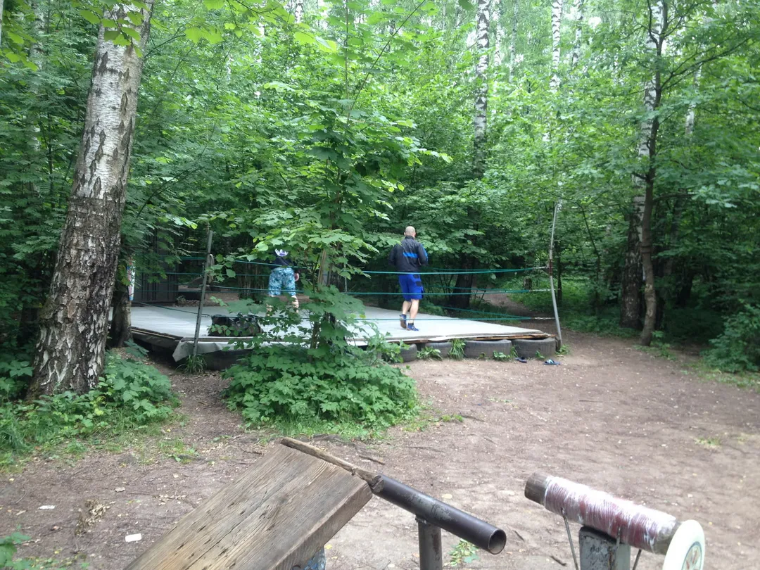 Parallel Gym Bars at Calisthenics Park at улица Академика Виноградова, Москва #wp2833 – photo 9 of 16