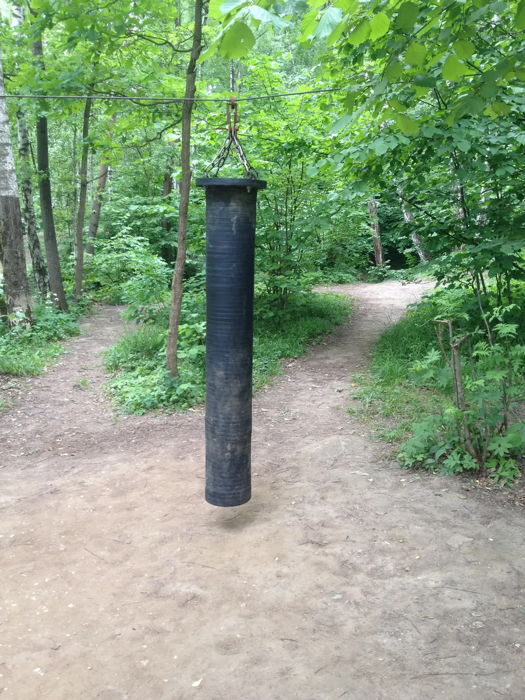 Monkey Bars at Calisthenics Park at улица Академика Виноградова, Москва #wp2833 – photo 3 of 16