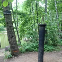 Calisthenics Park at улица Академика Виноградова, Москва #wp2833 - thumbnail 2