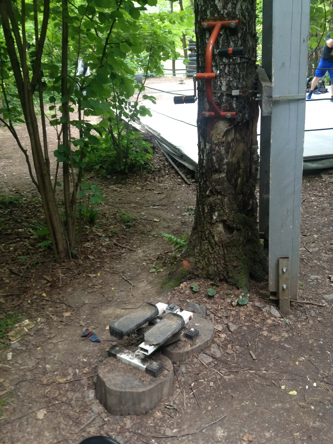 Abs Bench at Calisthenics Park at улица Академика Виноградова, Москва #wp2833 – photo 12 of 16