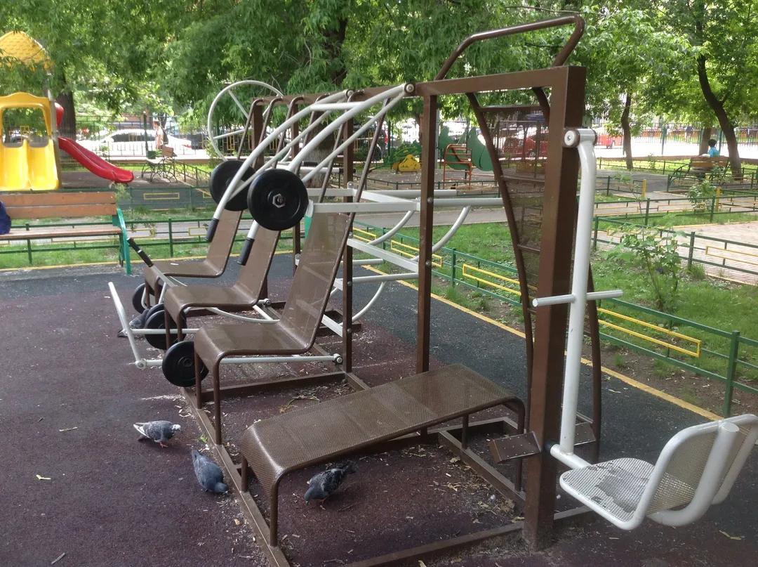 Бруси на майданчику Calisthenics Park at Энергетическая улица, Москва #wp2835 – фото 2 з 3