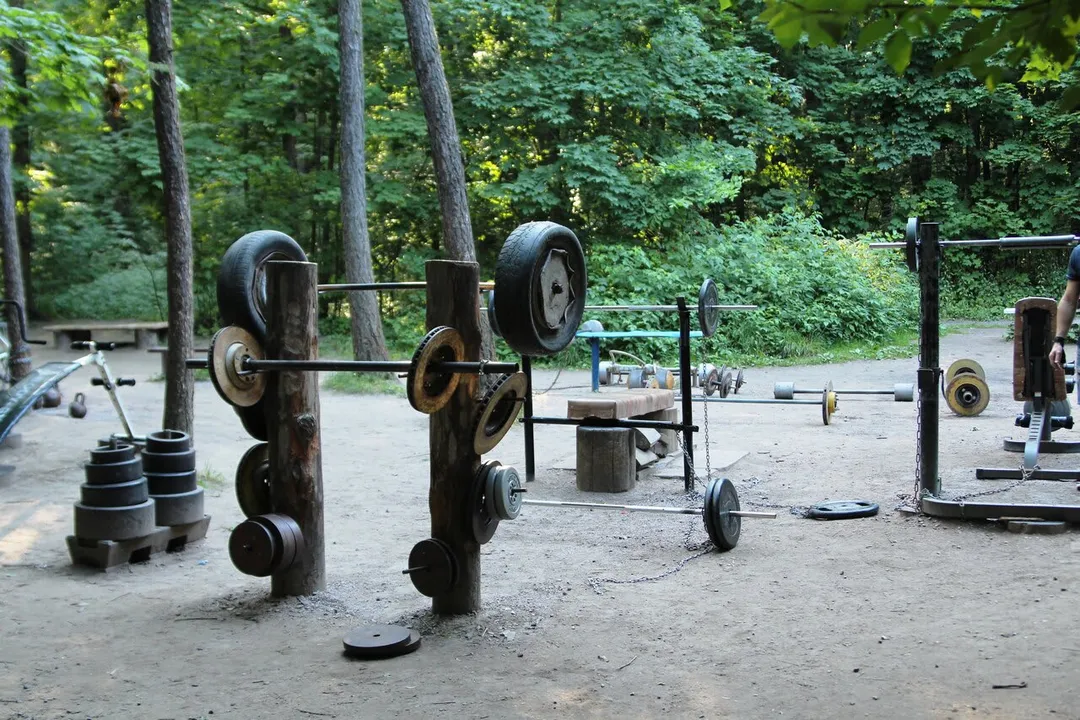 Bară de tracțiuni la Calisthenics Park at Волоколамское шоссе, Москва #wp2837 – fotografia 1 din 6