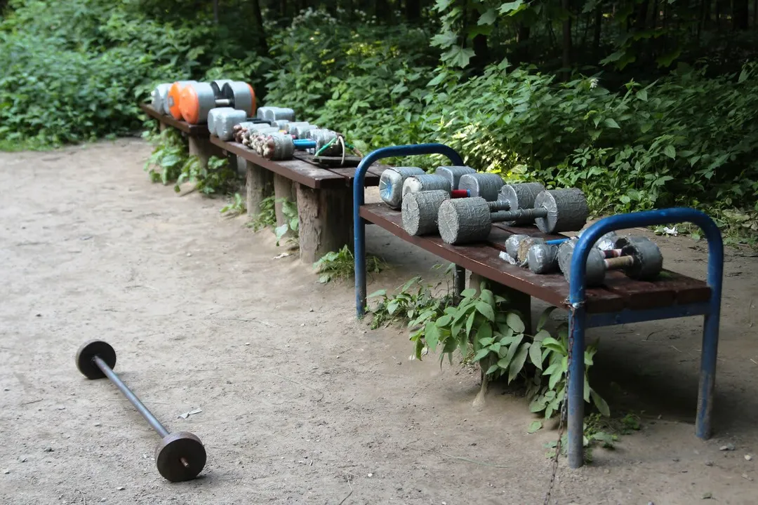 Spalier la Calisthenics Park at Волоколамское шоссе, Москва #wp2837 – fotografia 4 din 6