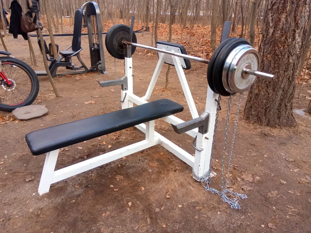 Bancă plată de piept la Calisthenics Park at Волоколамское шоссе, Москва #wp2837 – fotografia 5 din 6