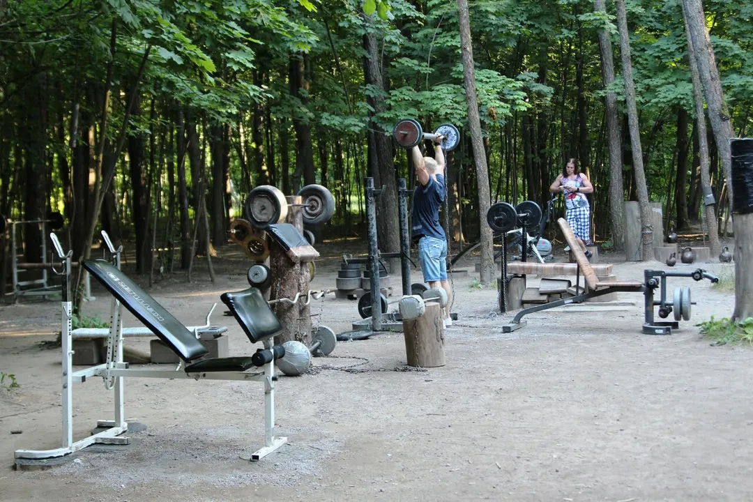 Monkey Bars la Calisthenics Park at Волоколамское шоссе, Москва #wp2837 – fotografia 3 din 6