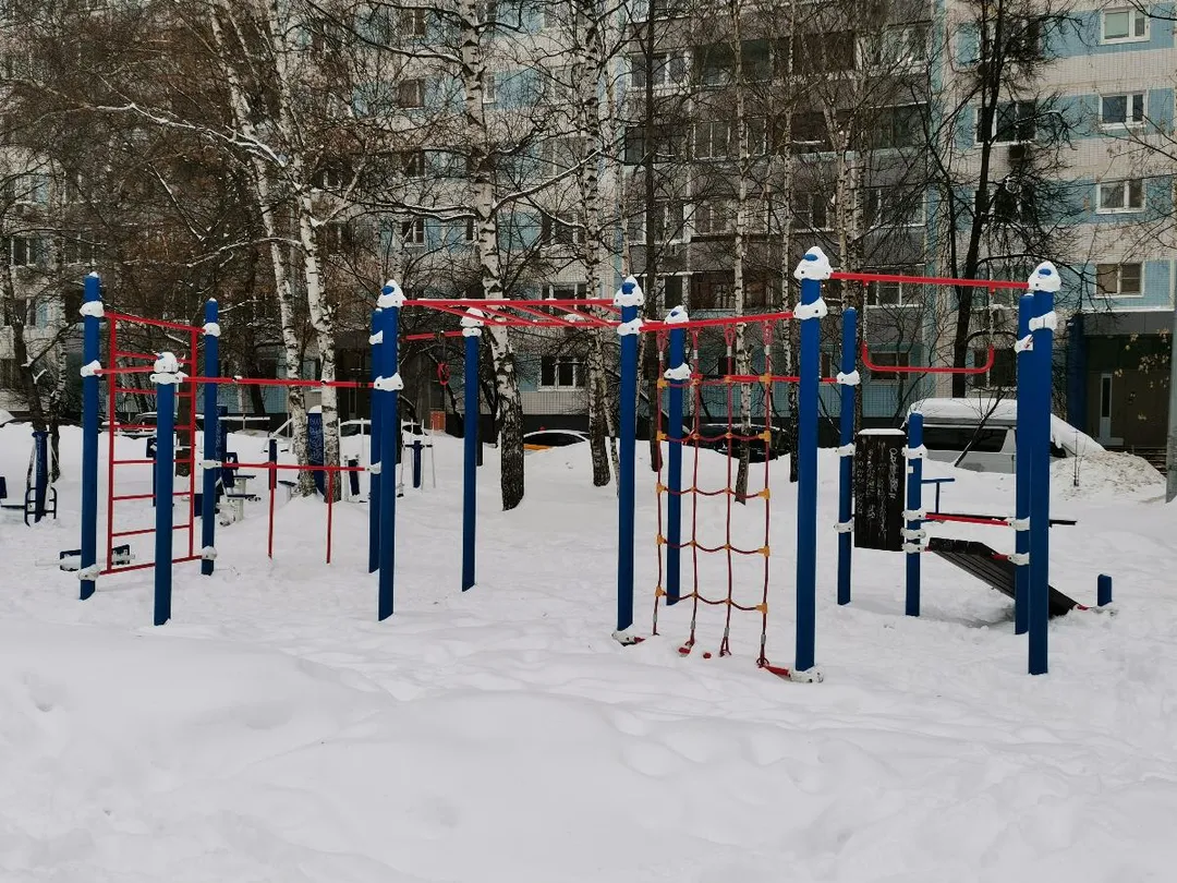Bară de tracțiuni la Calisthenics Park at улица Лескова, Москва – fotografia 1 din 2