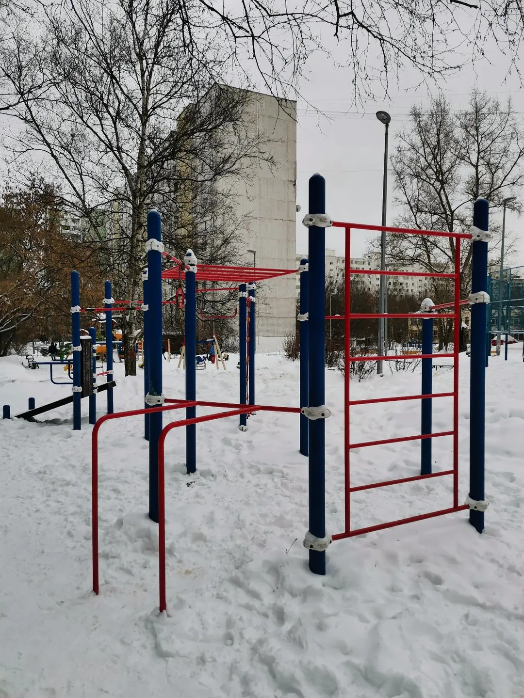 Bare paralele la Calisthenics Park at улица Лескова, Москва – fotografia 2 din 2