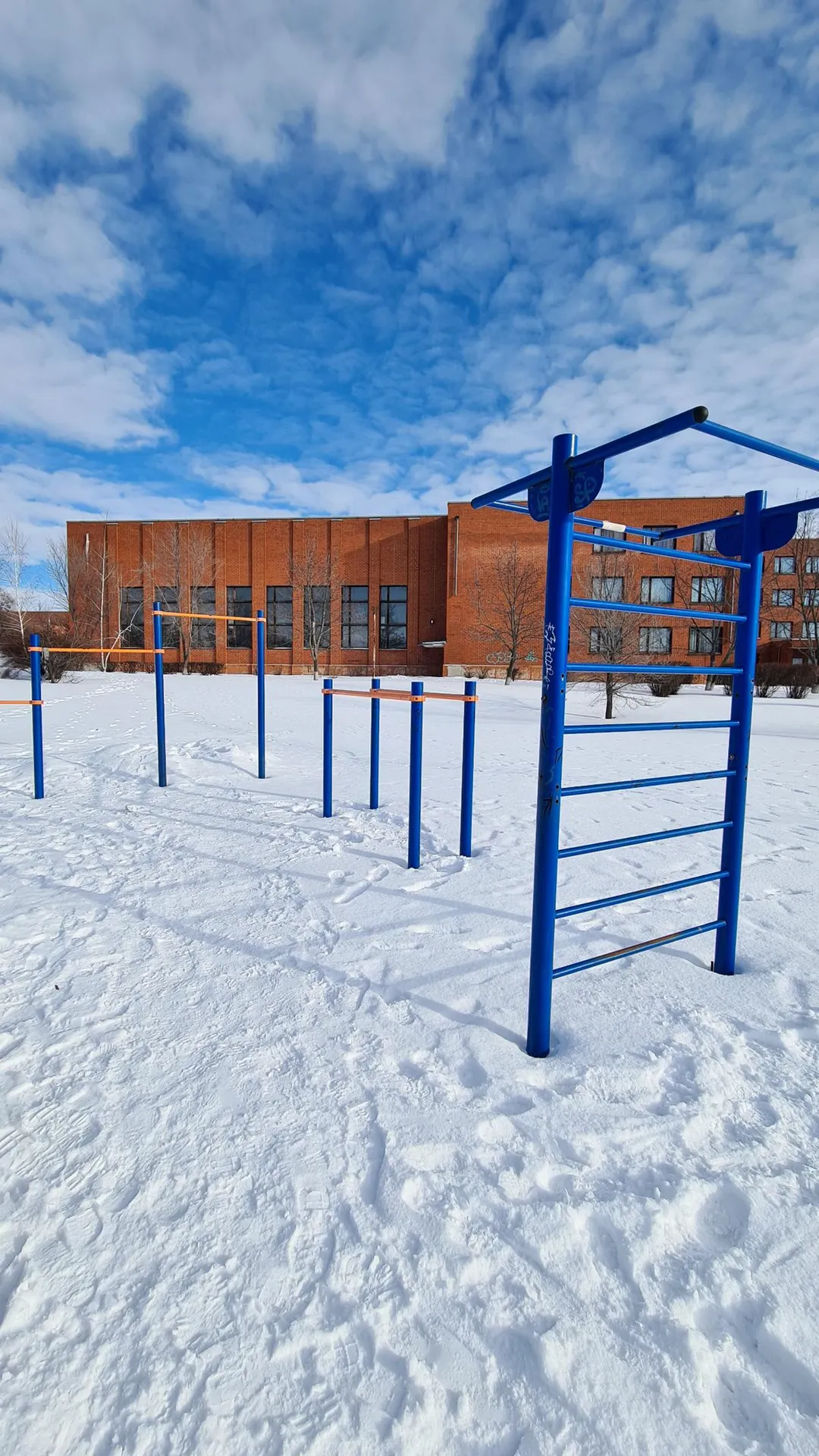 Турнік на майданчику Calisthenics Park at проспект Победы, Богучар – фото 1 з 3