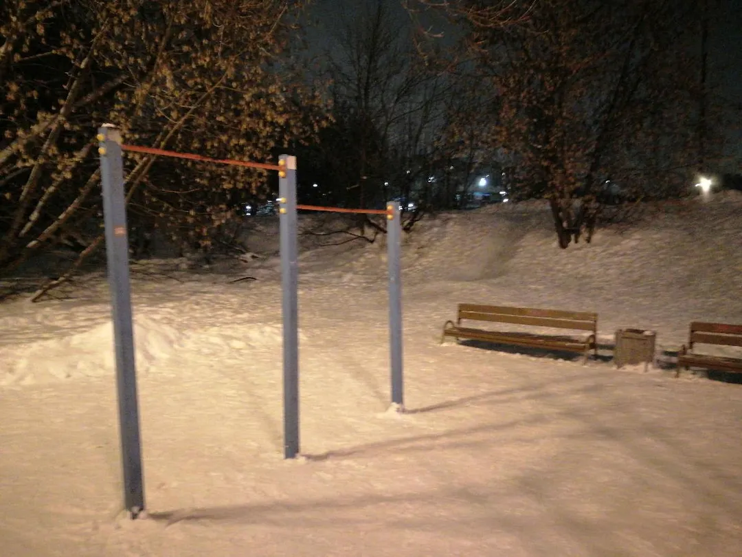 Anelli ginnici presso Calisthenics Park at улица Чайковского, Красногорск – foto 4 di 4