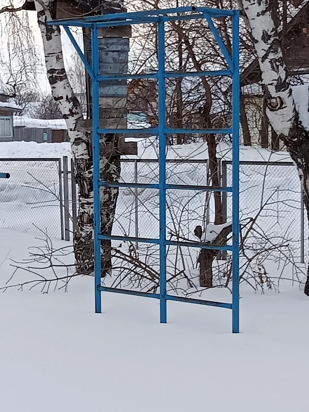 Wall Bars at Outdoor Gym #wp2840 in Советское городское поселение – photo 4 of 5