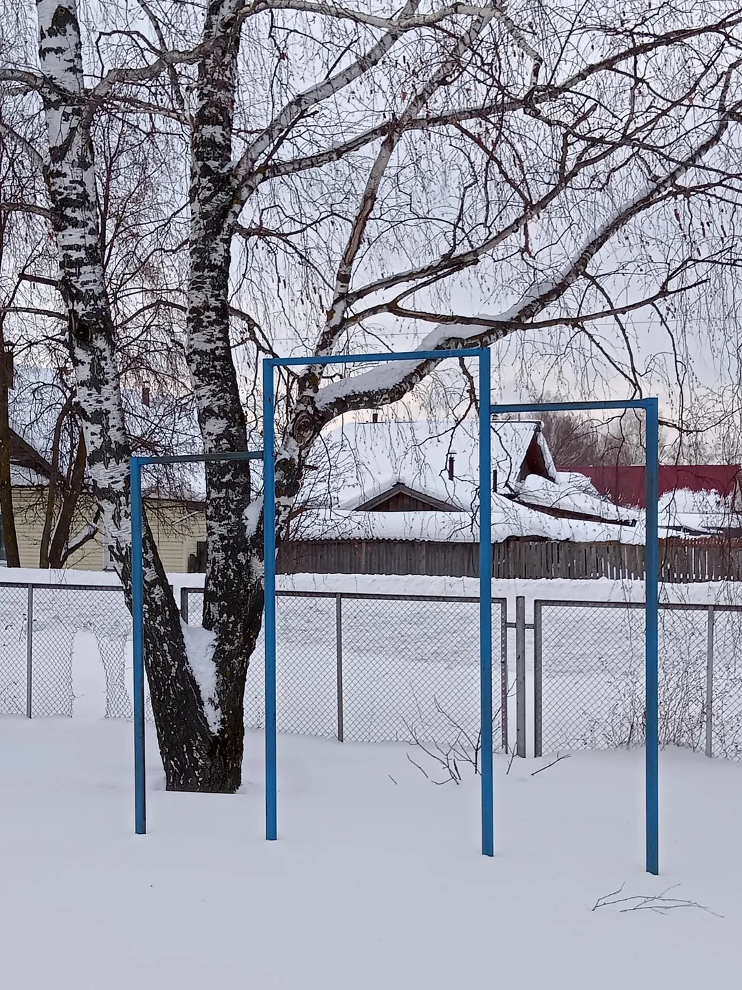 Monkey Bars at Outdoor Gym #wp2840 in Советское городское поселение – photo 3 of 5