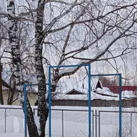 Outdoor Gym #wp2840 in Советское городское поселение - thumbnail 3