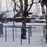 Outdoor Gym #wp2840 in Советское городское поселение - thumbnail 5