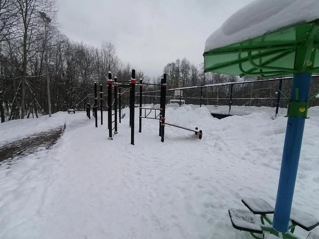 Wall Bars at Calisthenics Park at Дачная улица, Красногорск – photo 4 of 5