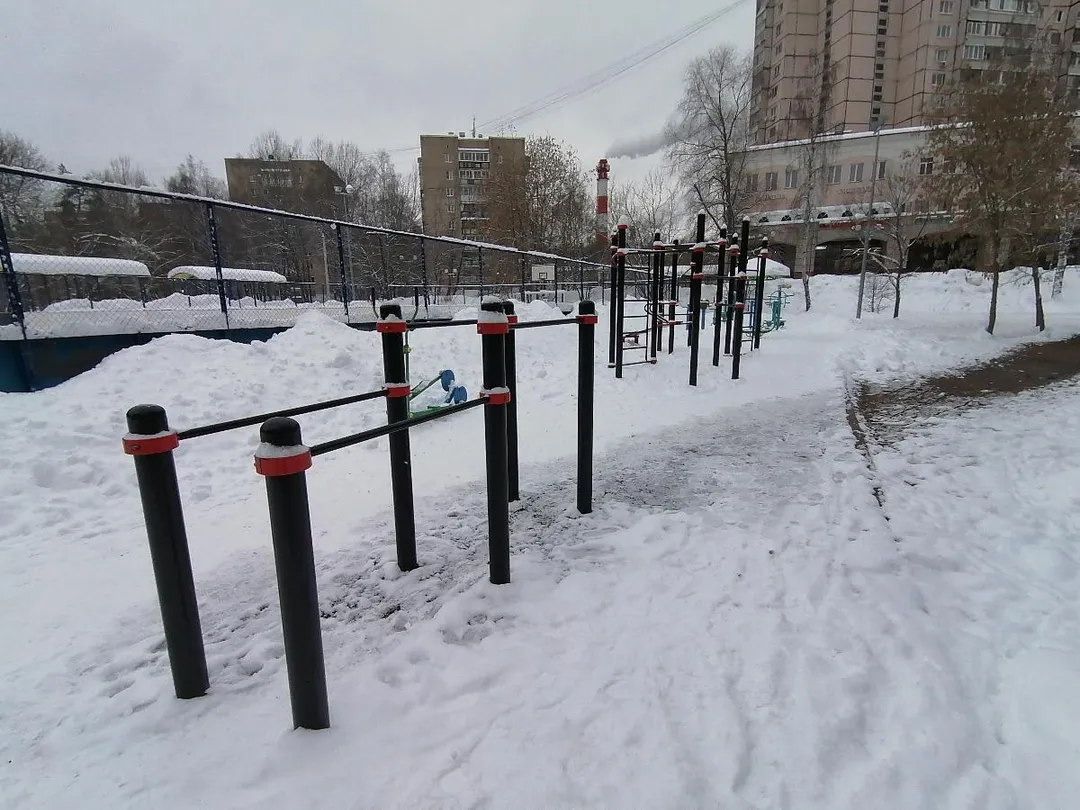 Monkey Bars at Calisthenics Park at Дачная улица, Красногорск – photo 3 of 5