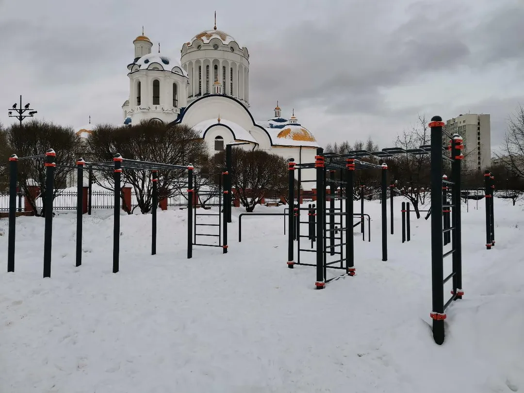 Spalier la Calisthenics Park at улица Пришвина, Москва – fotografia 3 din 5