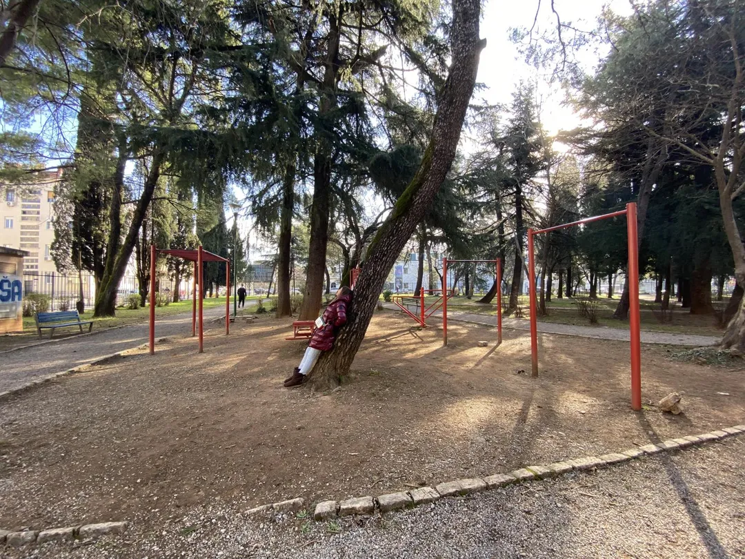 Monkey Bars la Calisthenics Park at Vuka Karadžića, Podgorica – fotografia 4 din 5