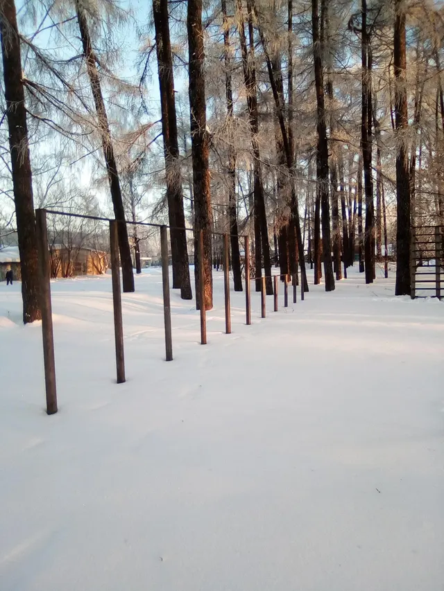Calisthenics Park at улица Карла Либкнехта, Советск
