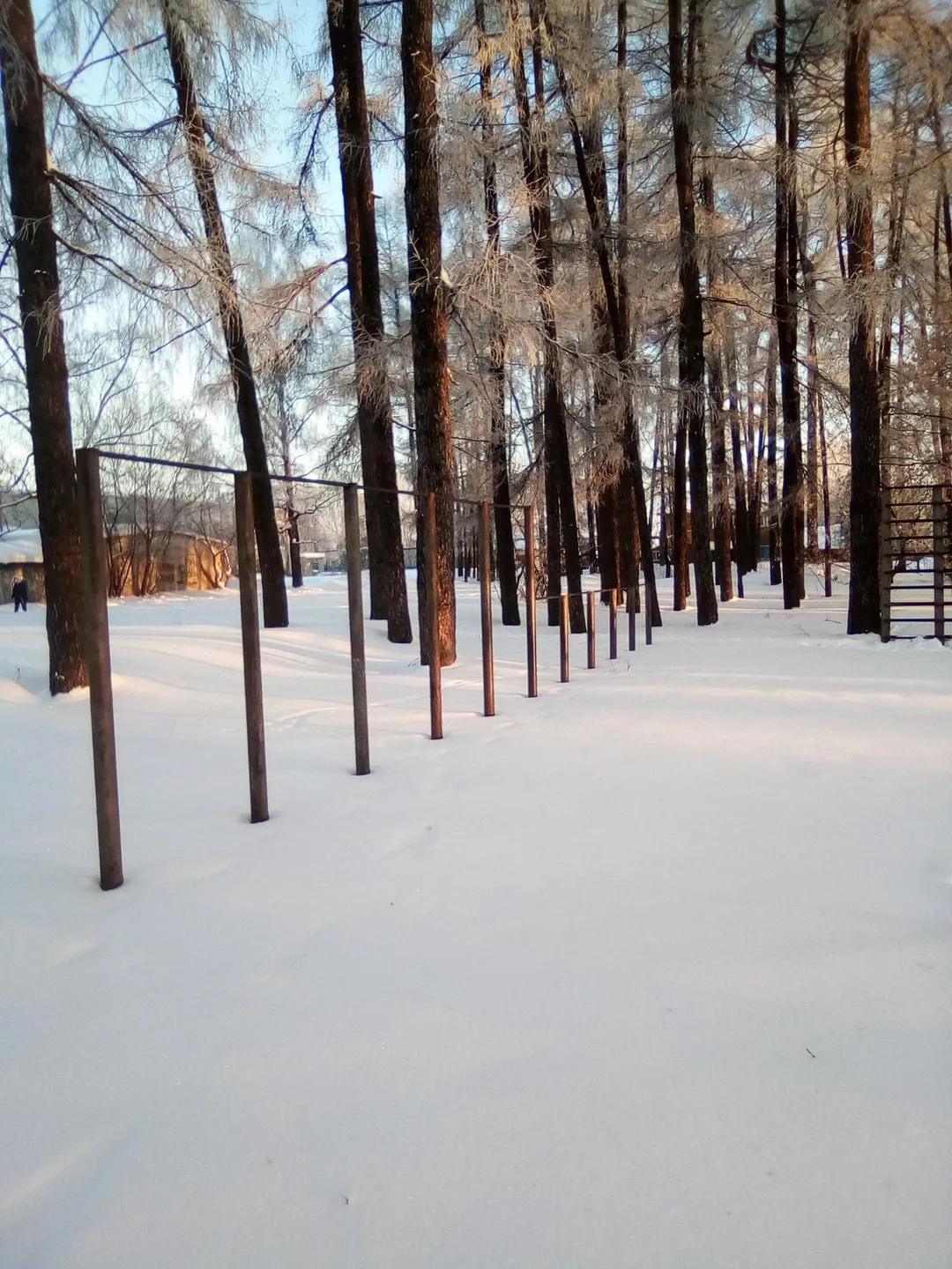 Sbarra per trazioni presso Calisthenics Park at улица Карла Либкнехта, Советск – foto 1 di 9