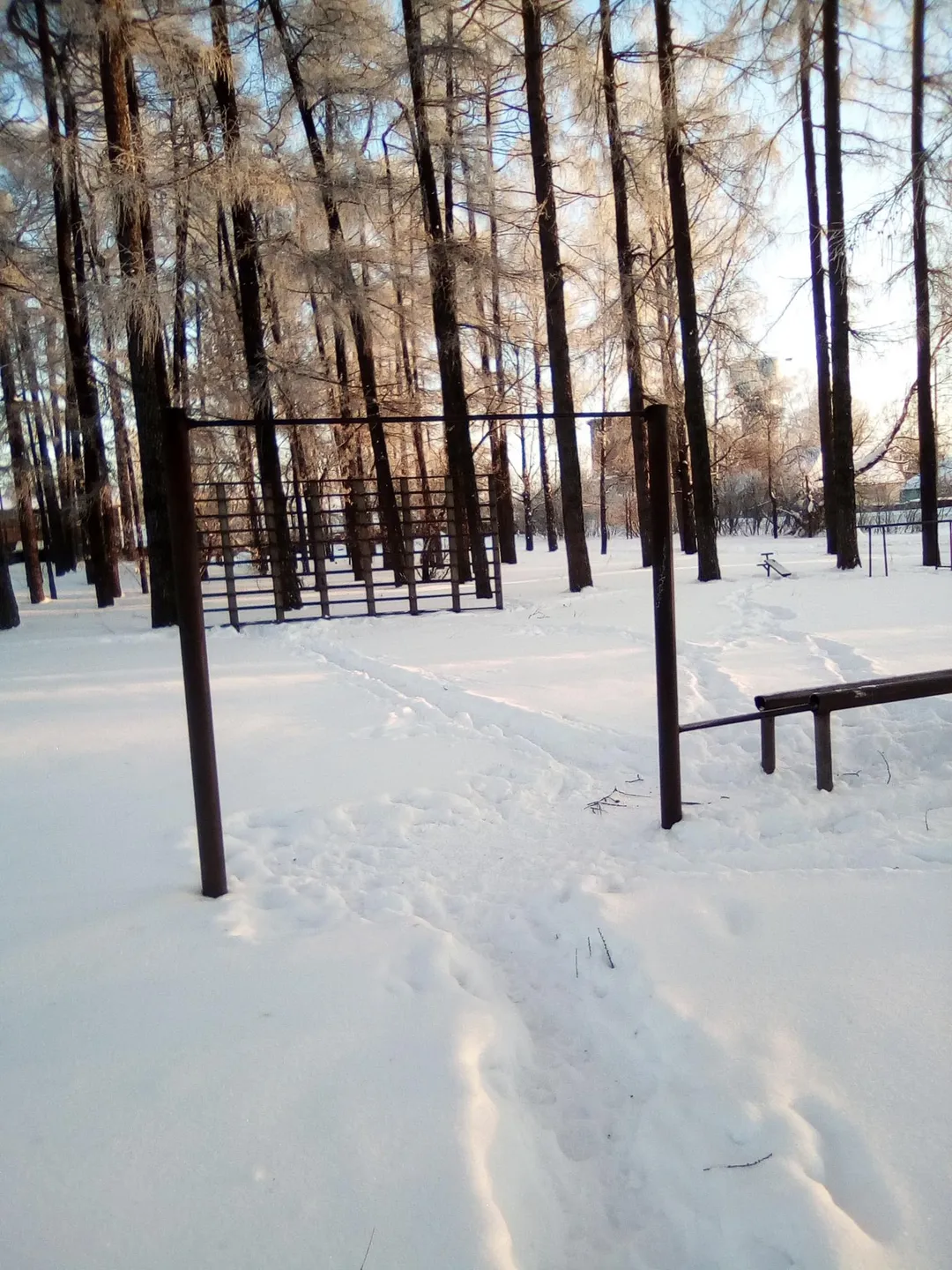 Maniglie per piegamenti presso Calisthenics Park at улица Карла Либкнехта, Советск – foto 2 di 9