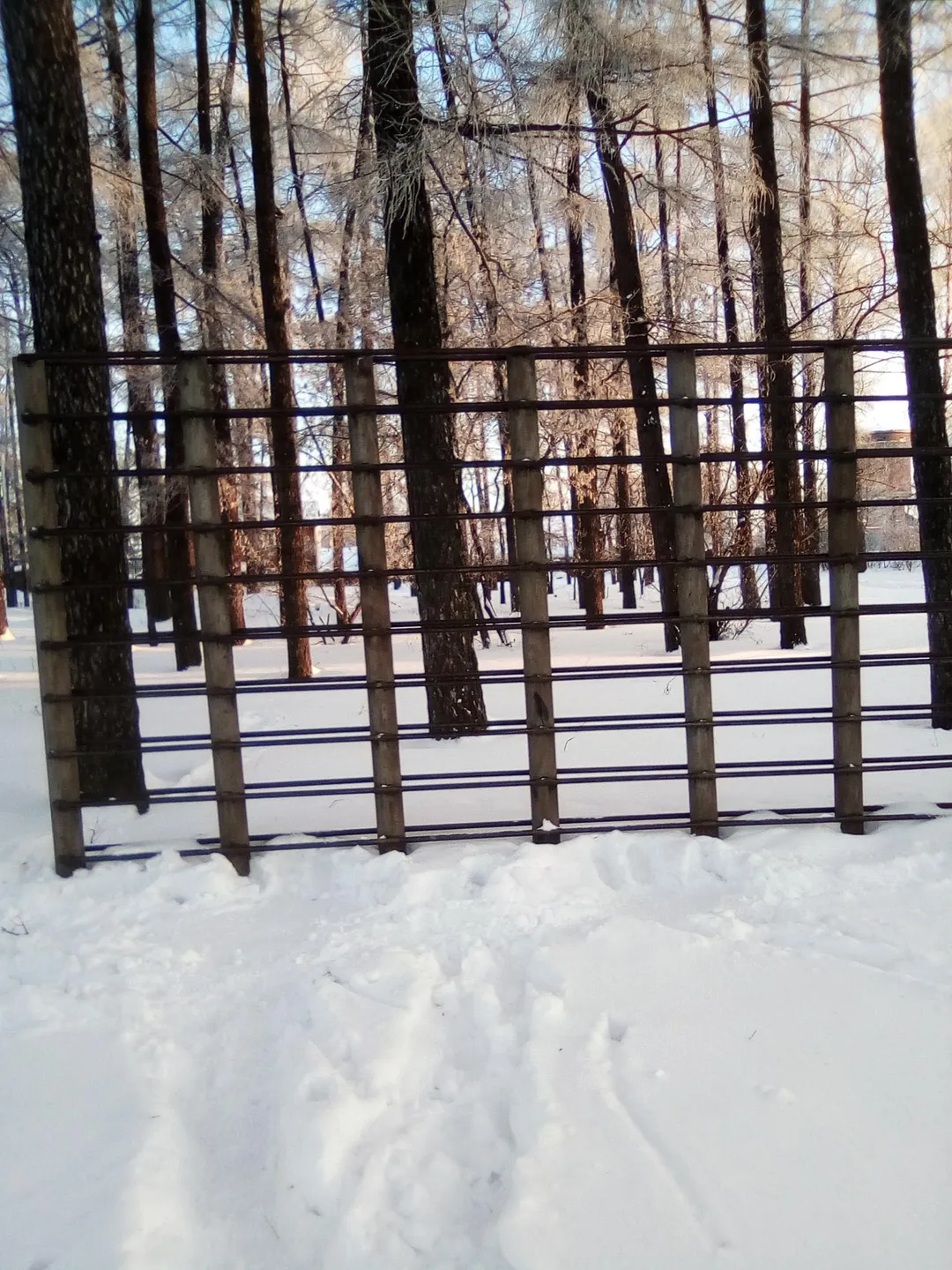 Parallele basse presso Calisthenics Park at улица Карла Либкнехта, Советск – foto 4 di 9