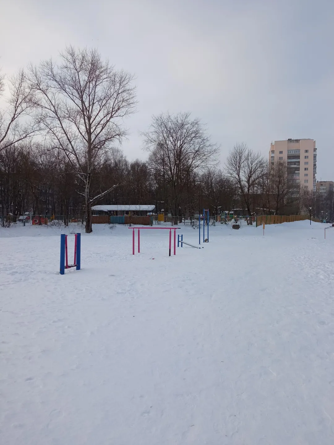 Bară de tracțiuni la Calisthenics Park at 1-й Мигаловский проезд, городской округ Тверь – fotografia 1 din 8