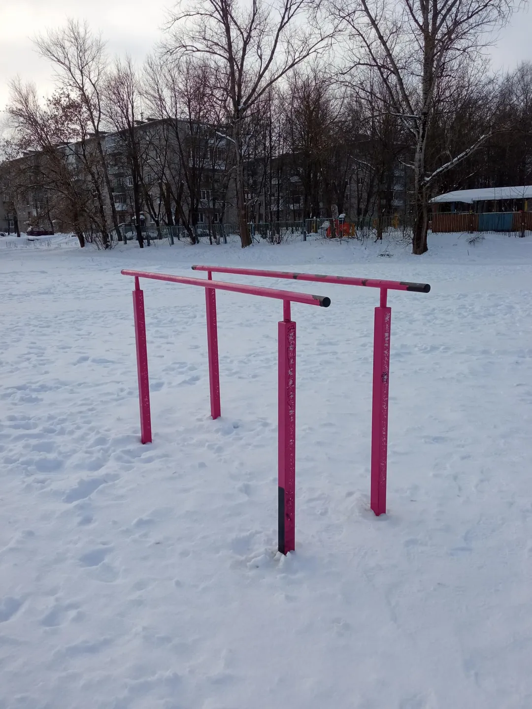 Spalier la Calisthenics Park at 1-й Мигаловский проезд, городской округ Тверь – fotografia 3 din 8