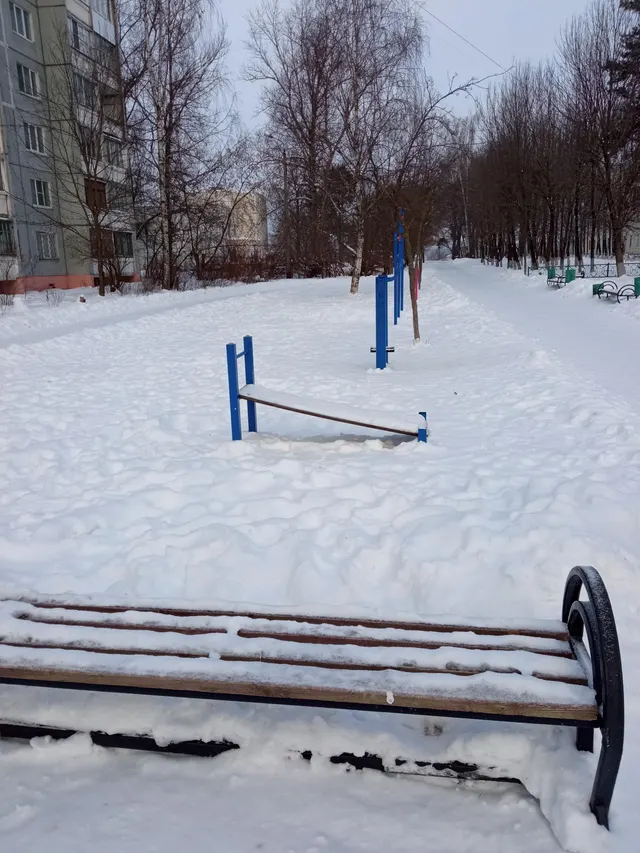 Calisthenics Park at улица Евгения Пичугина, городской округ Тверь