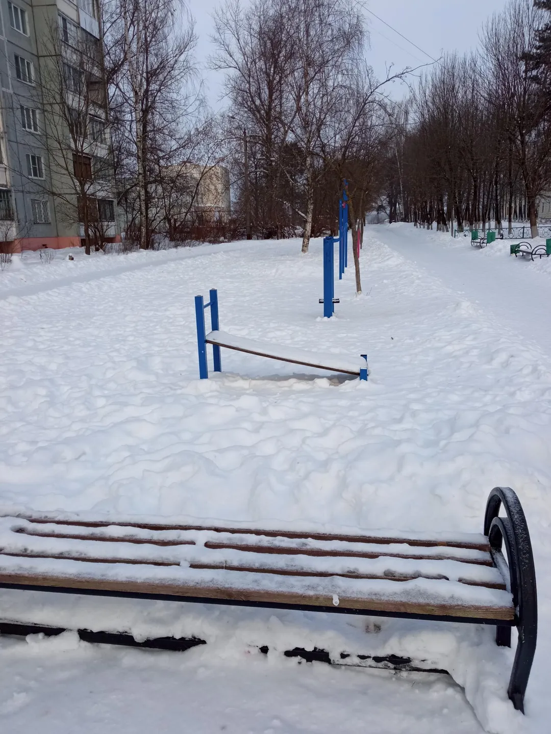 Sbarra per trazioni presso Calisthenics Park at улица Евгения Пичугина, городской округ Тверь – foto 1 di 6