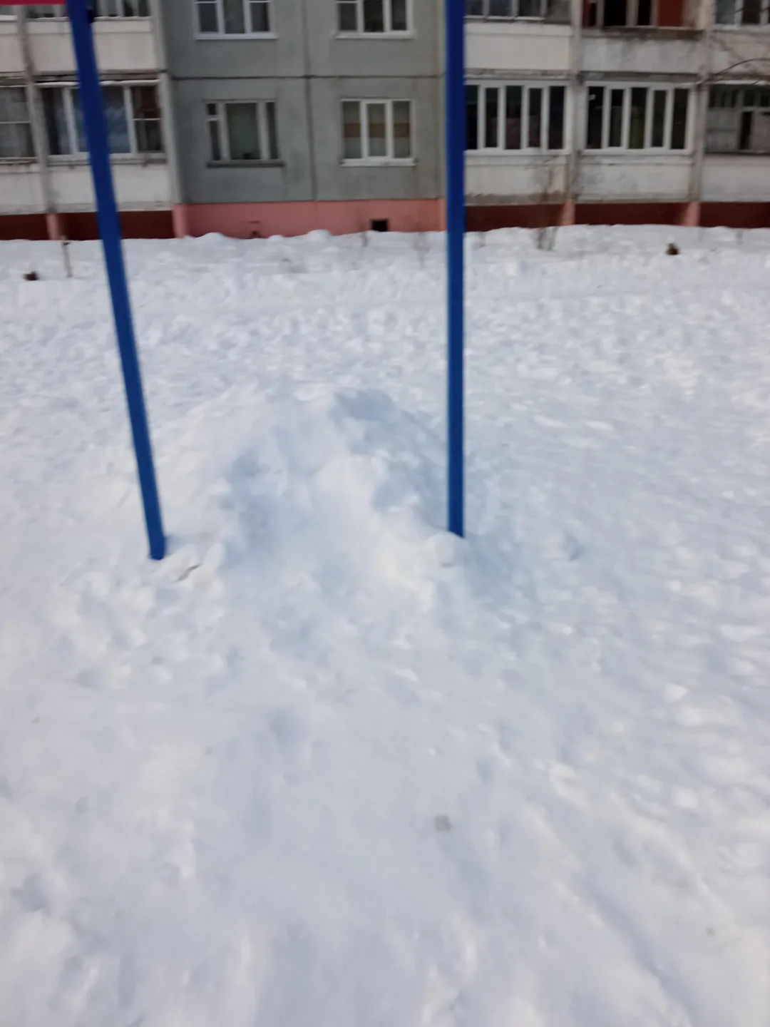 Sbarra per trazioni presso Calisthenics Park at улица Евгения Пичугина, городской округ Тверь – foto 5 di 6