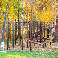 Calisthenics Park at Детский оздоровительный лагерь им. Зои Космодемьянской, Тургояк - thumbnail 3