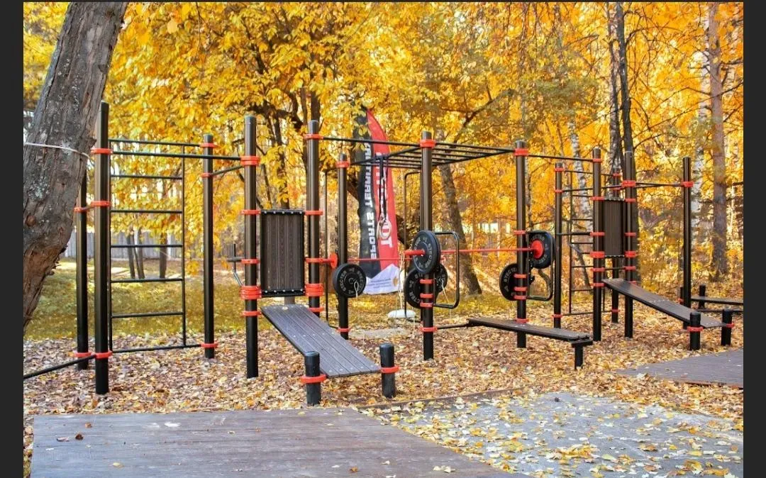 Barra de Dominadas en Calisthenics Park at Детский оздоровительный лагерь им. Зои Космодемьянской, Тургояк – foto 1 de 3