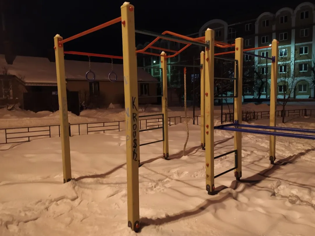 Anelli ginnici presso Calisthenics Park at улица Маршала Шапошникова, Воронеж – foto 4 di 4